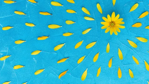 Top 10 des cadeaux d'été pour votre personnel