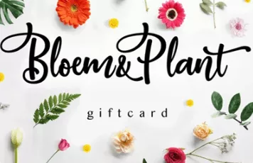 Bloem & Plant Kado